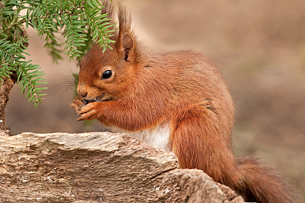 Народные приметы на 26 января 2025: что можно и нельзя делать в этот день