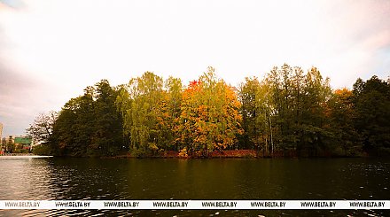 Порывистый ветер и дожди. Чего ждать от погоды в Беларуси 12 октября
