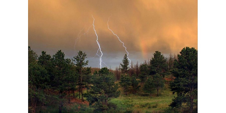 Шквалистый ветер, ливни и грозы. Оранжевый уровень опасности объявлен в Беларуси на 10 августа