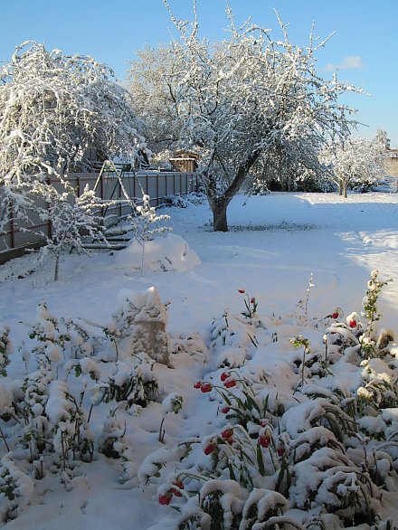 Кто сегодня не сделал фото из окна, тот не мы! Вороновщина: неожиданно 11 мая 2017 года…