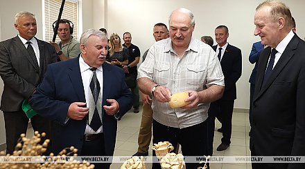 Обеспечит ли Беларусь свою продовольственную безопасность? Александр Лукашенко потребовал включить "полную диктатуру"