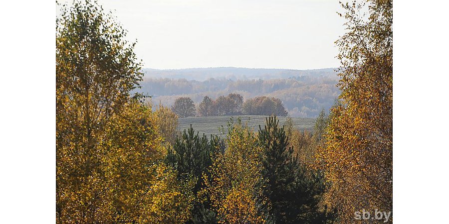 Народный календарь: что нужно бросить в воду 5 сентября, чтобы деньги сами в руки «плыли»