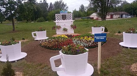«Чайный сервиз» в подарок. Вороновские коммунальники в числе лучших рабочих зеленого строительства Гродненщины