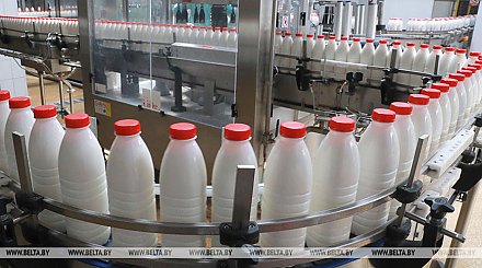 Беларусь рассчитывает к 2025 году увеличить производство молока до 9,2 млн т
