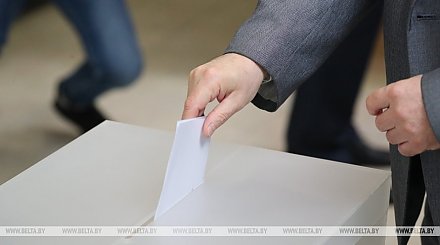 В Беларуси на выборах проголосовали около 39% избирателей. На Вороновщине - 52%.