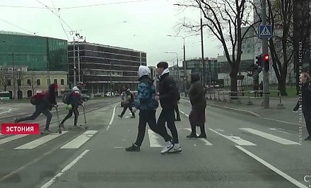 Штраф или постоять 45 минут на обочине. В Эстонии вводится необычное наказание для нарушителей ПДД (+видео)