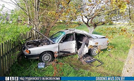 Серьезная авария под Вороново: водитель не справилась с управлением и врезалась в дерево