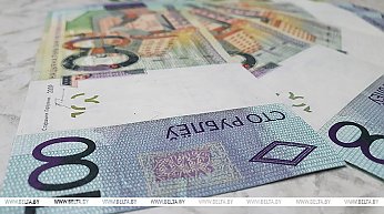 В Беларуси прорабатывается вопрос по корректировке минимального размера алиментов - Минюст