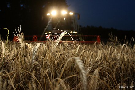 Есть вопросы по уборочной или нужна оперативная помощь? Обратиться можно к профсоюзам