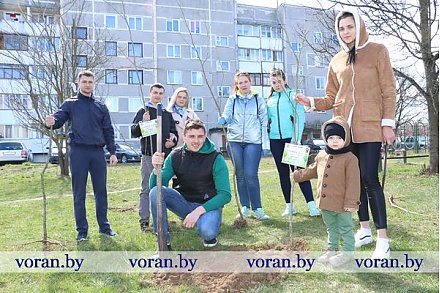 На Вороновщине заложили скверы семейных деревьев
