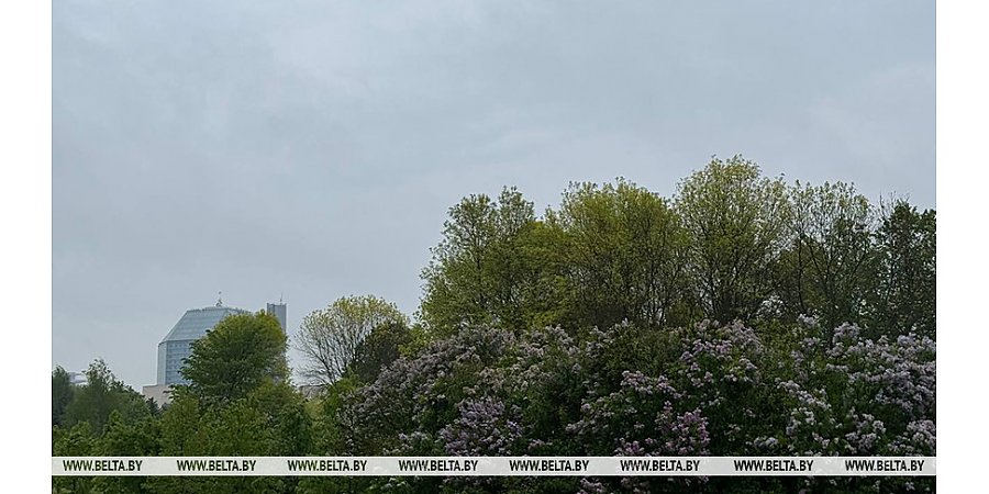 Туман и небольшие дожди. Синоптики обещают сегодня теплую погоду с осадками