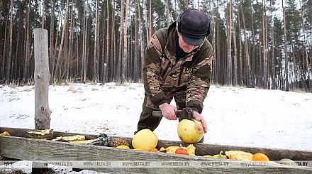 Обязанности егерей в Беларуси будут изменены с 1 января