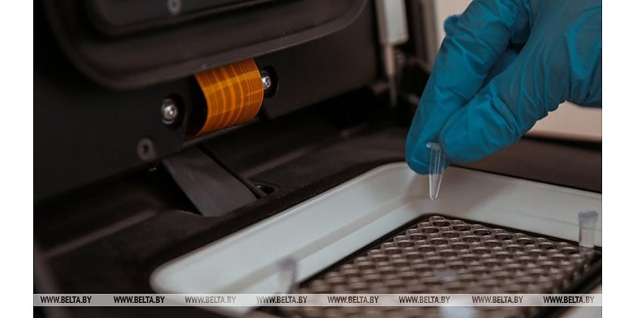 За сутки в Беларуси зарегистрированы 894 пациента с COVID-19, выписаны 672