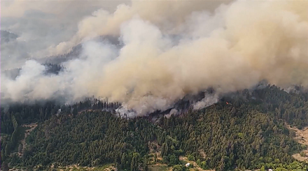 Мощные лесные пожары в Аргентине охватили более 2 тыс. га, к тушению привлечены самолеты 