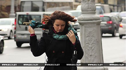 Ураган "Герварт" пришел в Беларусь