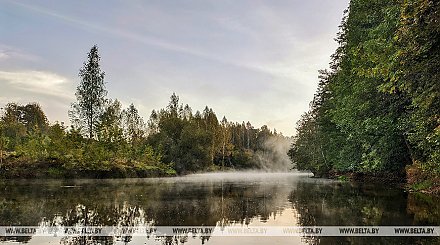 Туман и до +17°С ожидается в Беларуси 4 октября 