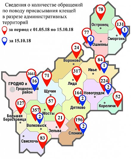 В Беларуси предлагается расширить перечень документов, дающих право находиться в погранзоне