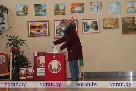 В Вороновском районе идет голосование на референдуме по внесению изменений и дополнений в Конституцию