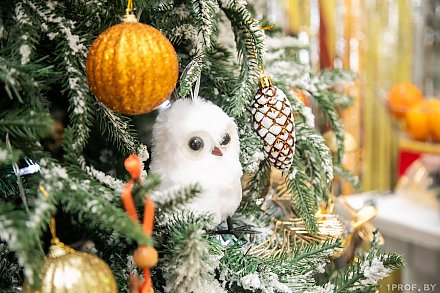 Когда ставить елку к Новому году и на какие приметы обратить внимание в Год Красной Огненной Лошади