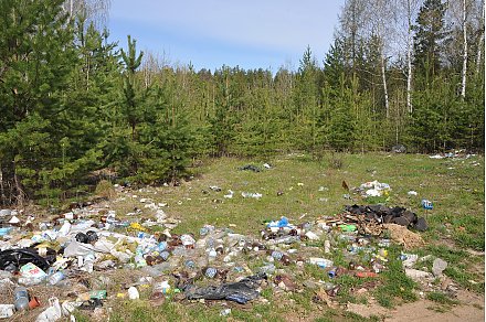 На контроле — порядок в лесах