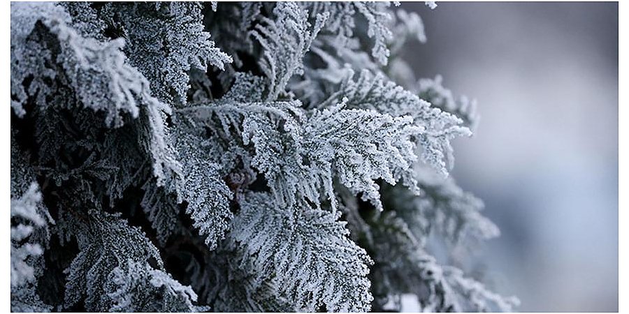 Гололедица прогнозируется в Беларуси 9 декабря