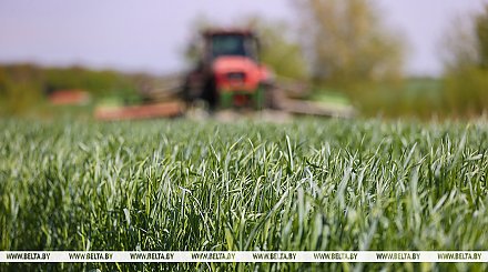 Первый укос трав проведен на 60% запланированных площадей в Беларуси