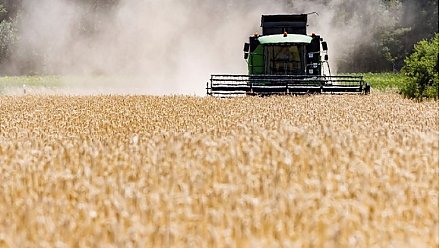 Вопросы хода подготовки к уборке и уборочной кампании были рассмотрены на заседании коллегии Комитета государственного контроля Гродненской области.