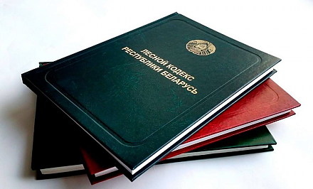 В Беларуси вступает в силу обновленный Лесной кодекс