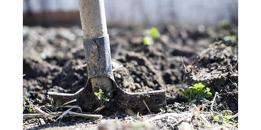 Египетский фермер выкопал в поле стелу возрастом 2600 лет