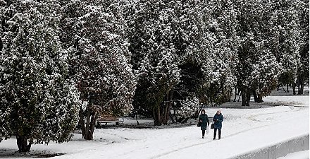 Вырастут пенсии, станет проще построить жилье. Какие изменения ждут белорусов в декабре