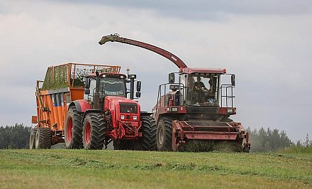 В Беларуси кормов заготовлено больше прошлогоднего