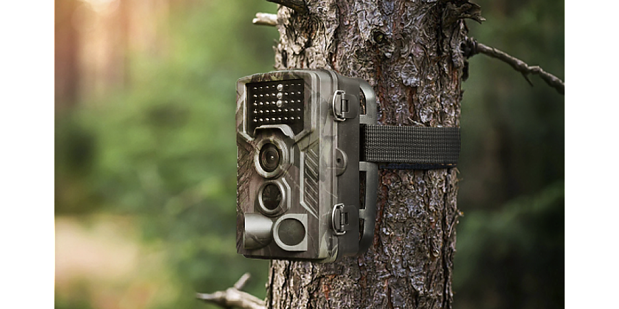 В Гродненской области неправильное обращение с отходами теперь фиксируют фотоловушки