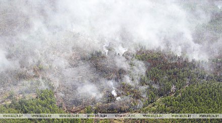 Дым от пожаров в Канаде переместился через Атлантику и достиг Западной Европы