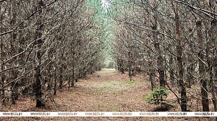 Зима уже на пороге? Какой будет погода на неделе с 27 октября по 2 ноября