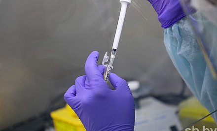 Японская вакцина от коронавируса прошла успешные испытания на животных