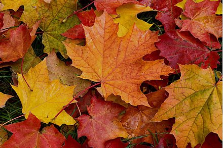 Народные приметы на 25 сентября 2025 года: что можно и нельзя делать в этот день