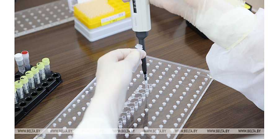 За сутки в Беларуси зарегистрированы 379 пациентов с COVID-19, выписаны 268