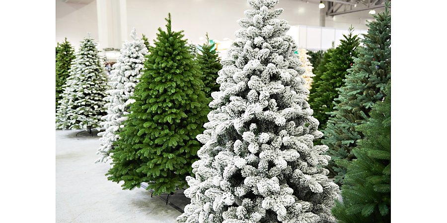 Не «купите» новогоднюю  ель у мошенников!