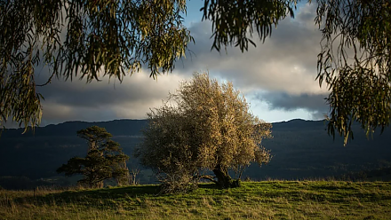 Народные приметы на 27 августа: что можно и нельзя делать в этот день