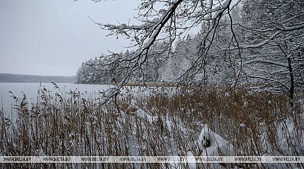 МЧС - рыбакам: первый лед непрочный, выходить на него опасно