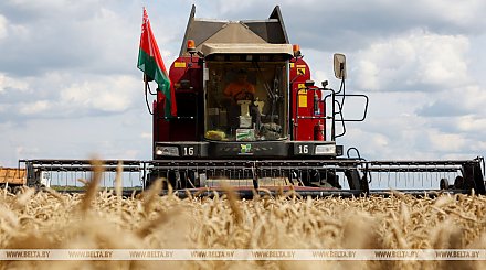 "Вы справитесь с любыми задачами". Александр Лукашенко поздравил работников АПК с профессиональным праздником