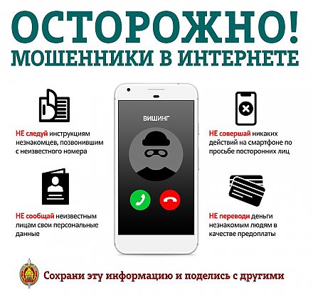 Осторожно! Мошенники в интернете (инфографика)