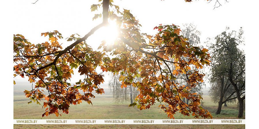 Без существенных осадков и до +13°С будет сегодня в Беларуси