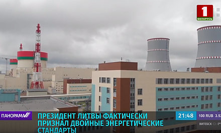 Лицемерное заявление. Президент Литвы фактически признал двойные энергетические стандарты