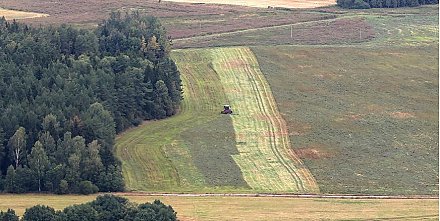 Эксперт: каждый район Гродненской области определил точку роста в ближайшей перспективе