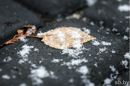 Погода в выходные: мокрый снег, туман, слабый гололед и от -9 °С до +5 °С