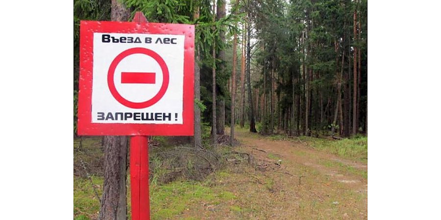 В Вороновском районе с 23 августа действует запрет на посещение лесов