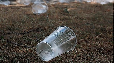 Беларусь предлагает запретить использование неперерабатываемой одноразовой упаковки в ЕАЭС