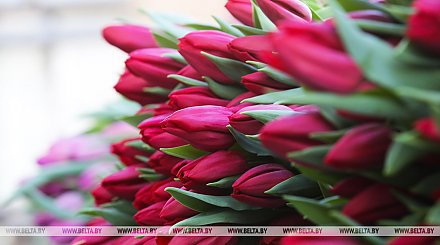 Продажа цветов к 8 Марта: ИП регистрировать не нужно, а лишь уплатить единый налог