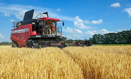 На Гродненщине убрано 54 процента ярового рапса. Продолжается процесс поднятия льнотресты и посев озимых культур